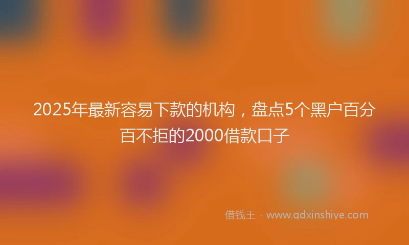 2025年最新容易下款的机构，盘点5个黑户百分百不拒的2000借款口子