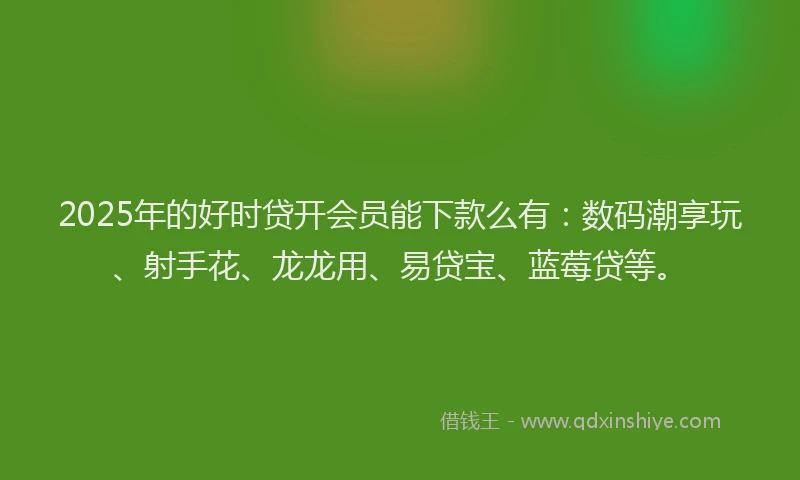 2025年的好时贷开会员能下款么有：数码潮享玩、射手花、龙龙用、易贷宝、蓝莓贷等。