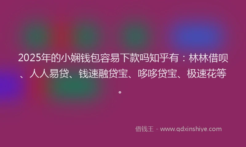 2025年的小娴钱包容易下款吗知乎有：林林借呗、人人易贷、钱速融贷宝、哆哆贷宝、极速花等。