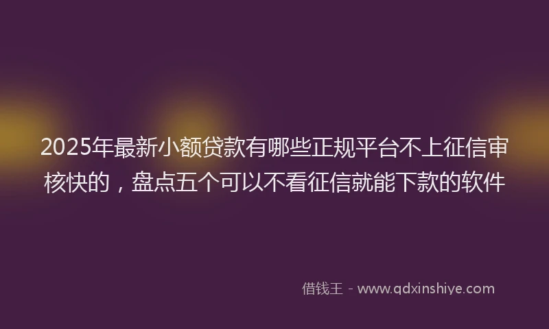 2025年最新小额贷款有哪些正规平台不上征信审核快的，盘点五个可以不看征信就能下款的软件