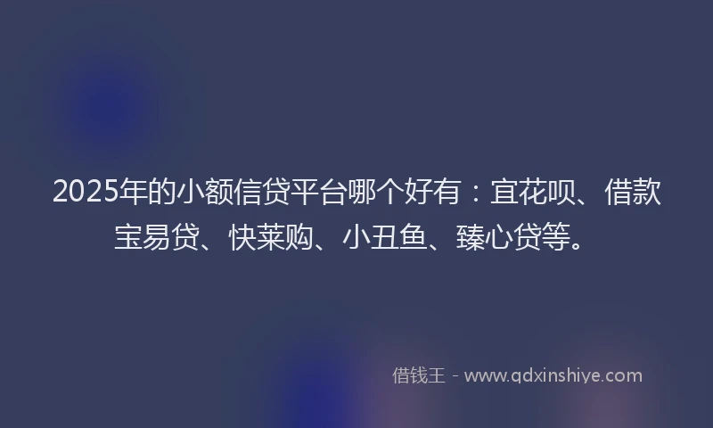 2025年的小额信贷平台哪个好有：宜花呗、借款宝易贷、快莱购、小丑鱼、臻心贷等。
