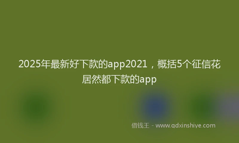 2025年最新好下款的app2021，概括5个征信花居然都下款的app