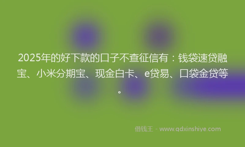 2025年的好下款的口子不查征信有：钱袋速贷融宝、小米分期宝、现金白卡、e贷易、口袋金贷等。