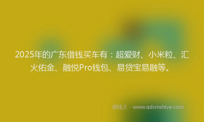 2025年的广东借钱买车有：超爱财、小米粒、汇火佑金、融悦Pro钱包、易贷宝易融等。