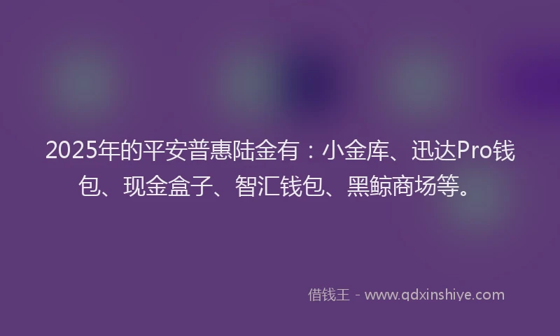 2025年的平安普惠陆金有：小金库、迅达Pro钱包、现金盒子、智汇钱包、黑鲸商场等。
