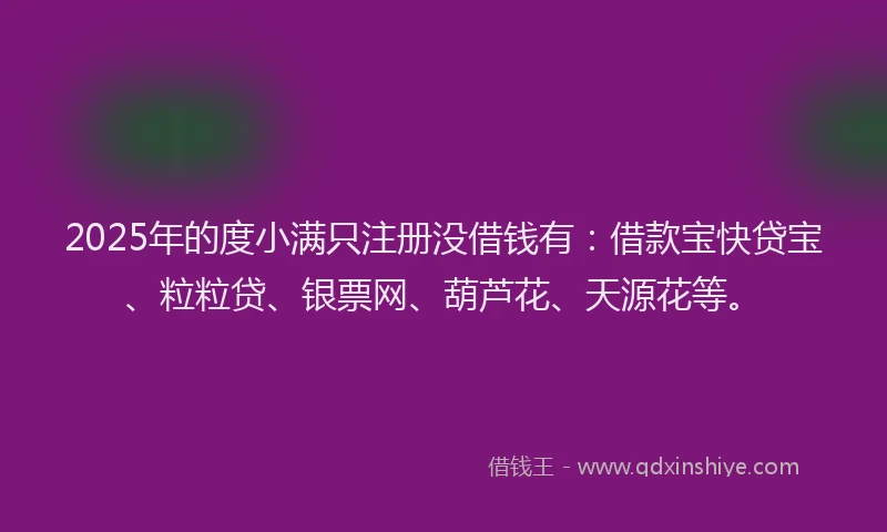 2025年的度小满只注册没借钱有：借款宝快贷宝、粒粒贷、银票网、葫芦花、天源花等。
