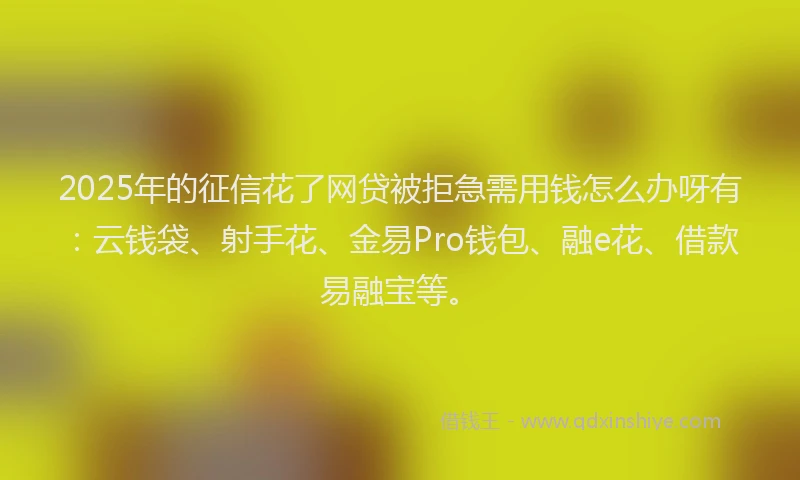 2025年的征信花了网贷被拒急需用钱怎么办呀有：云钱袋、射手花、金易Pro钱包、融e花、借款易融宝等。