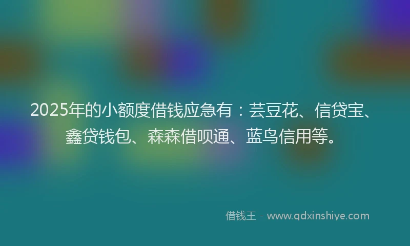 2025年的小额度借钱应急有：芸豆花、信贷宝、鑫贷钱包、森森借呗通、蓝鸟信用等。