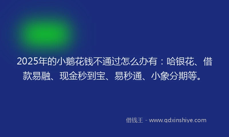 2025年的小鹅花钱不通过怎么办有：哈银花、借款易融、现金秒到宝、易秒通、小象分期等。