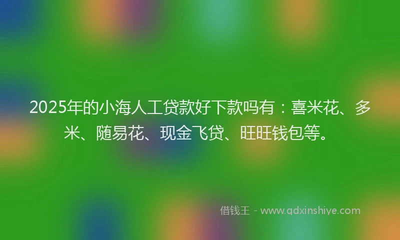 2025年的小海人工贷款好下款吗有：喜米花、多米、随易花、现金飞贷、旺旺钱包等。