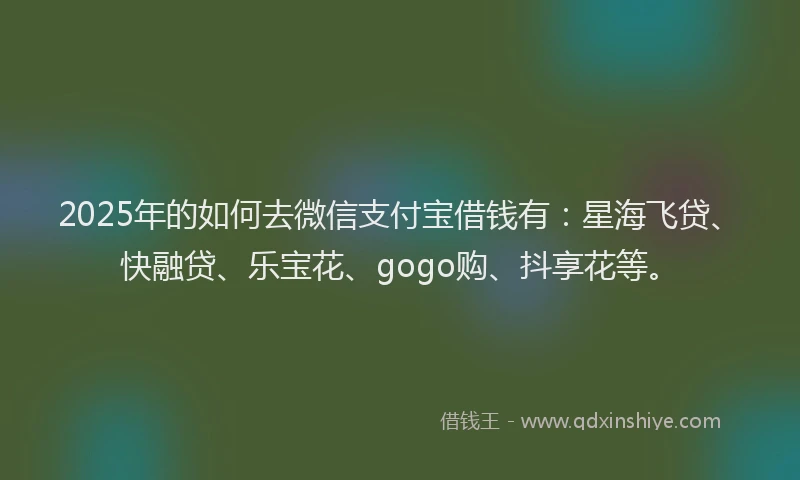 2025年的如何去微信支付宝借钱有：星海飞贷、快融贷、乐宝花、gogo购、抖享花等。