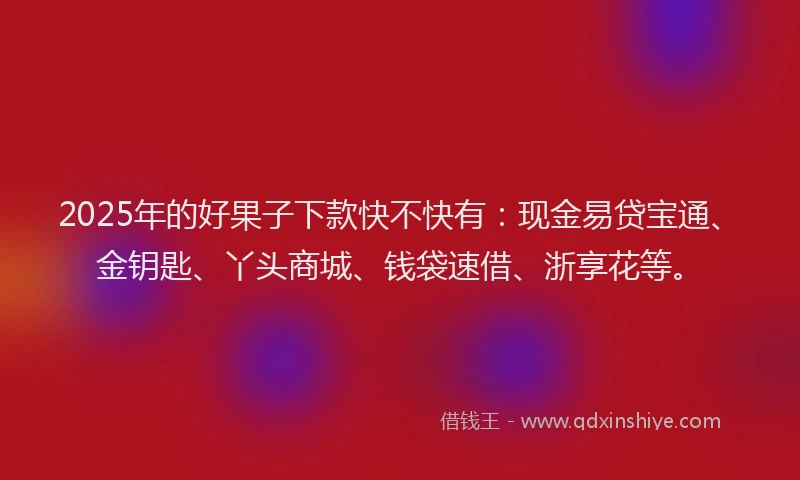 2025年的好果子下款快不快有：现金易贷宝通、金钥匙、丫头商城、钱袋速借、浙享花等。