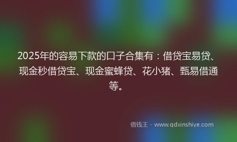 2025年的容易下款的口子合集有：借贷宝易贷、现金秒借贷宝、现金蜜蜂贷、花小猪、甄易借通等。