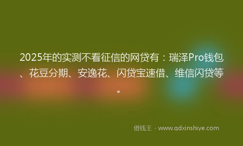 2025年的实测不看征信的网贷有：瑞泽Pro钱包、花豆分期、安逸花、闪贷宝速借、维信闪贷等。
