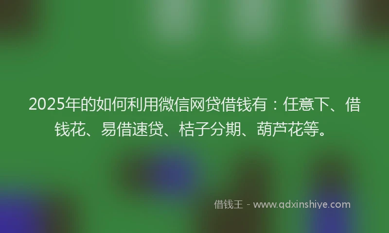 2025年的如何利用微信网贷借钱有：任意下、借钱花、易借速贷、桔子分期、葫芦花等。