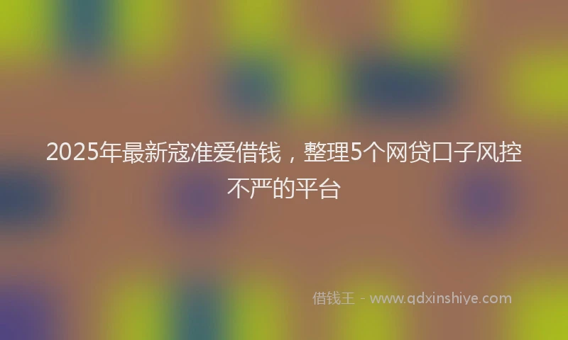 2025年最新寇准爱借钱，整理5个网贷口子风控不严的平台