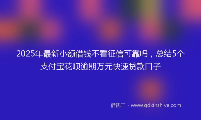 2025年最新小额借钱不看征信可靠吗，总结5个支付宝花呗逾期万元快速贷款口子