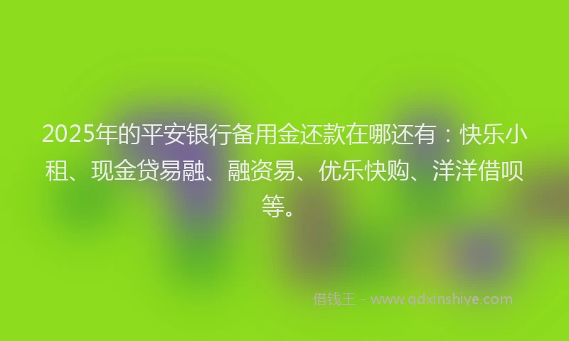 2025年的平安银行备用金还款在哪还有：快乐小租、现金贷易融、融资易、优乐快购、洋洋借呗等。