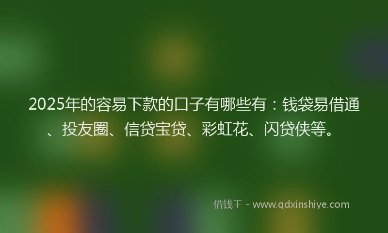 2025年的容易下款的口子有哪些有：钱袋易借通、投友圈、信贷宝贷、彩虹花、闪贷侠等。