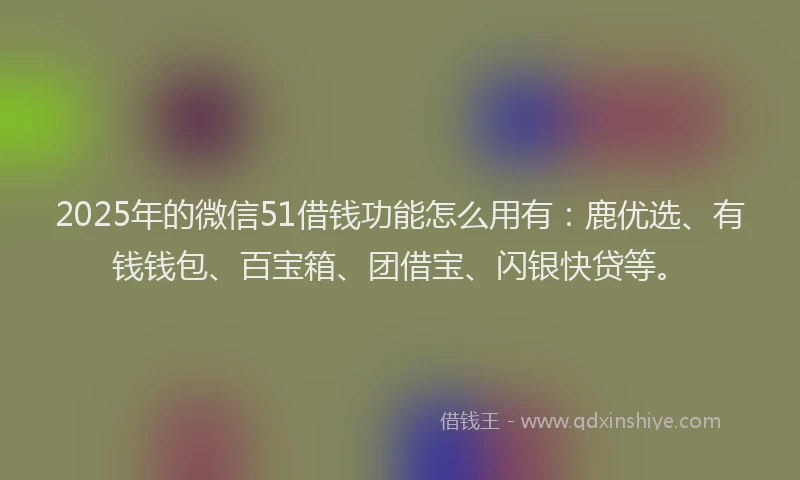 2025年的微信51借钱功能怎么用有：鹿优选、有钱钱包、百宝箱、团借宝、闪银快贷等。