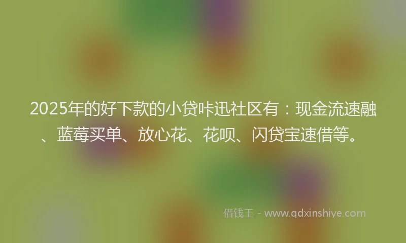 2025年的好下款的小贷咔迅社区有：现金流速融、蓝莓买单、放心花、花呗、闪贷宝速借等。