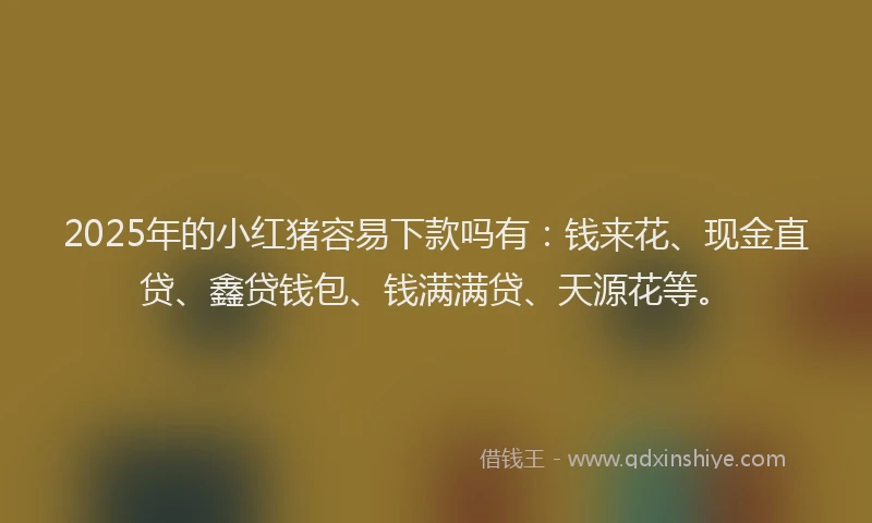 2025年的小红猪容易下款吗有：钱来花、现金直贷、鑫贷钱包、钱满满贷、天源花等。