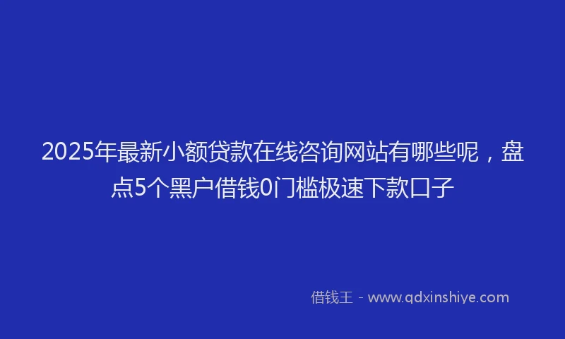 2025年最新小额贷款在线咨询网站有哪些呢，盘点5个黑户借钱0门槛极速下款口子