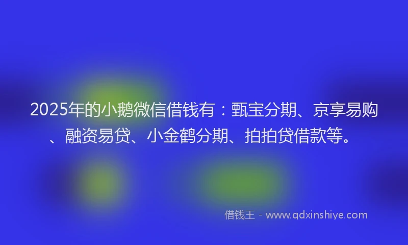 2025年的小鹅微信借钱有：甄宝分期、京享易购、融资易贷、小金鹤分期、拍拍贷借款等。
