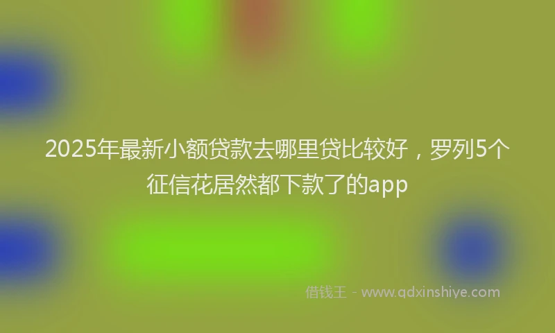 2025年最新小额贷款去哪里贷比较好，罗列5个征信花居然都下款了的app