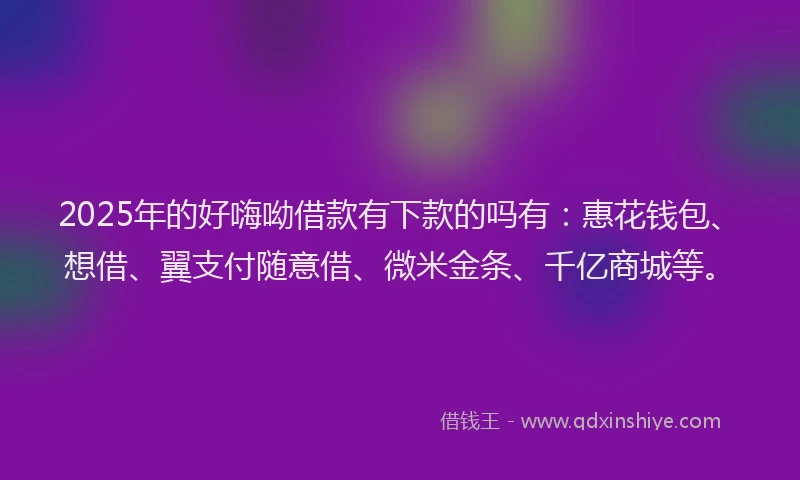 2025年的好嗨呦借款有下款的吗有：惠花钱包、想借、翼支付随意借、微米金条、千亿商城等。