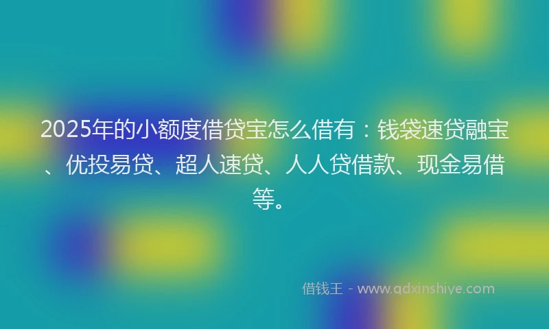 2025年的小额度借贷宝怎么借有：钱袋速贷融宝、优投易贷、超人速贷、人人贷借款、现金易借等。