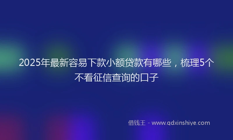 2025年最新容易下款小额贷款有哪些，梳理5个不看征信查询的口子