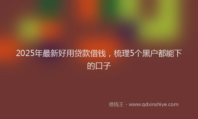 2025年最新好用贷款借钱，梳理5个黑户都能下的口子