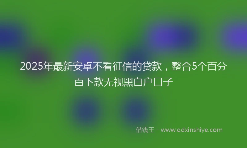 2025年最新安卓不看征信的贷款，整合5个百分百下款无视黑白户口子
