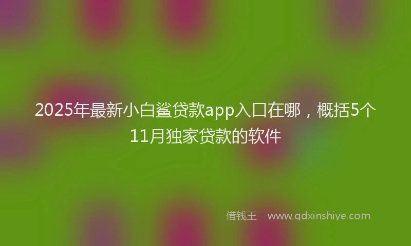 2025年最新小白鲨贷款app入口在哪，概括5个11月独家贷款的软件