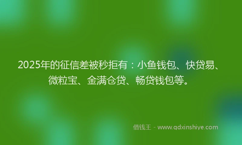 2025年的征信差被秒拒有：小鱼钱包、快贷易、微粒宝、金满仓贷、畅贷钱包等。