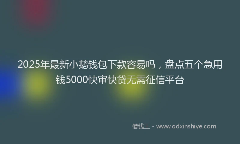 2025年最新小鹅钱包下款容易吗，盘点五个急用钱5000快审快贷无需征信平台