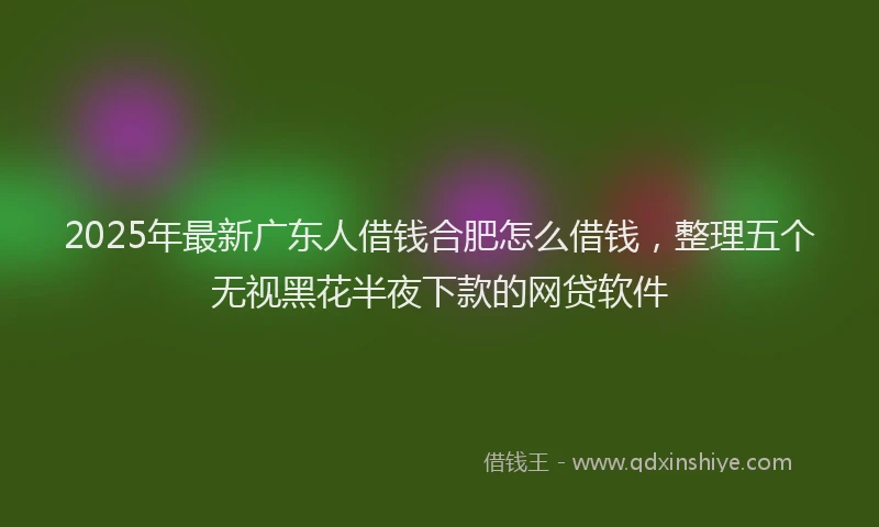 2025年最新广东人借钱合肥怎么借钱，整理五个无视黑花半夜下款的网贷软件