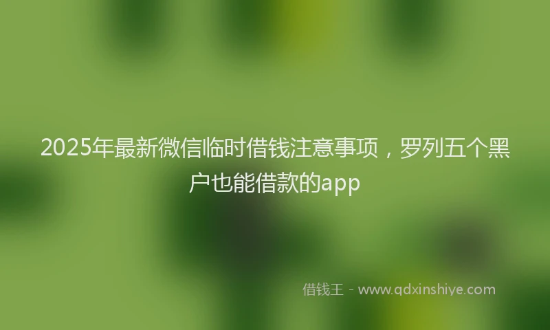 2025年最新微信临时借钱注意事项，罗列五个黑户也能借款的app