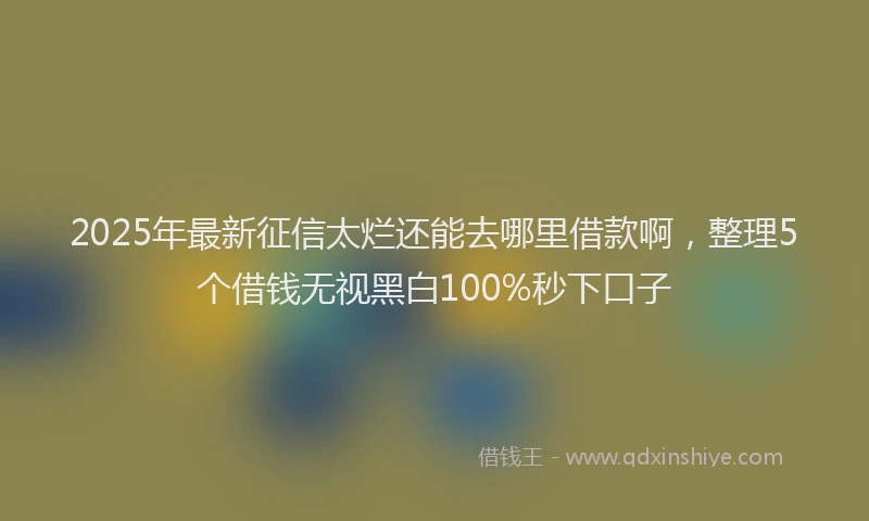 2025年最新征信太烂还能去哪里借款啊，整理5个借钱无视黑白100%秒下口子