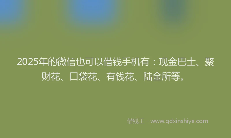 2025年的微信也可以借钱手机有：现金巴士、聚财花、口袋花、有钱花、陆金所等。