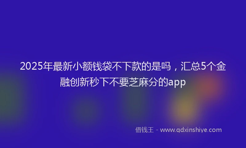 2025年最新小额钱袋不下款的是吗，汇总5个金融创新秒下不要芝麻分的app