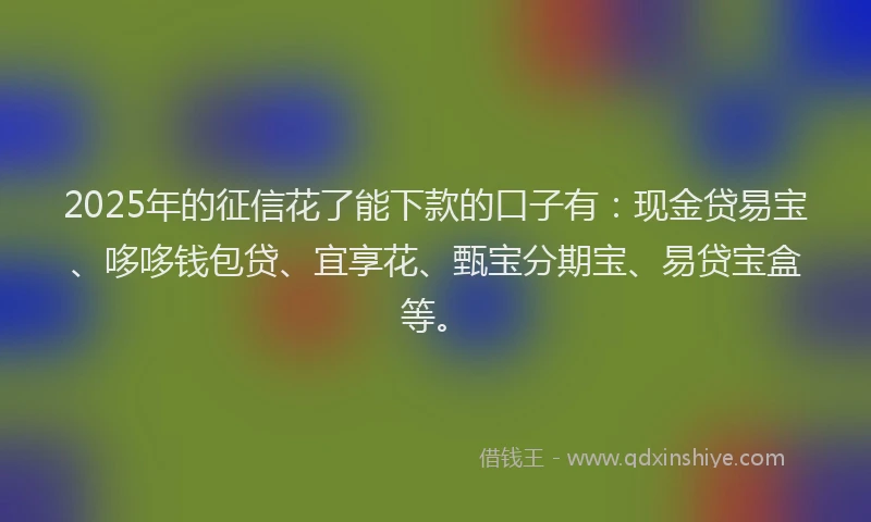 2025年的征信花了能下款的口子有：现金贷易宝、哆哆钱包贷、宜享花、甄宝分期宝、易贷宝盒等。