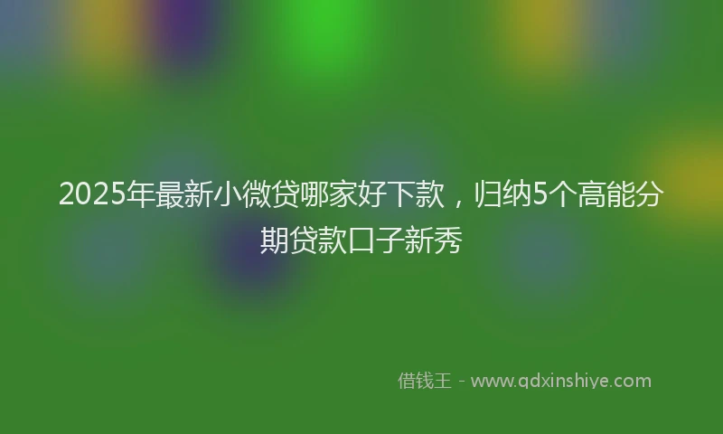 2025年最新小微贷哪家好下款，归纳5个高能分期贷款口子新秀