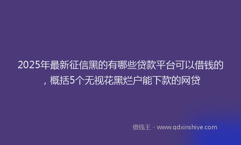 2025年最新征信黑的有哪些贷款平台可以借钱的，概括5个无视花黑烂户能下款的网贷
