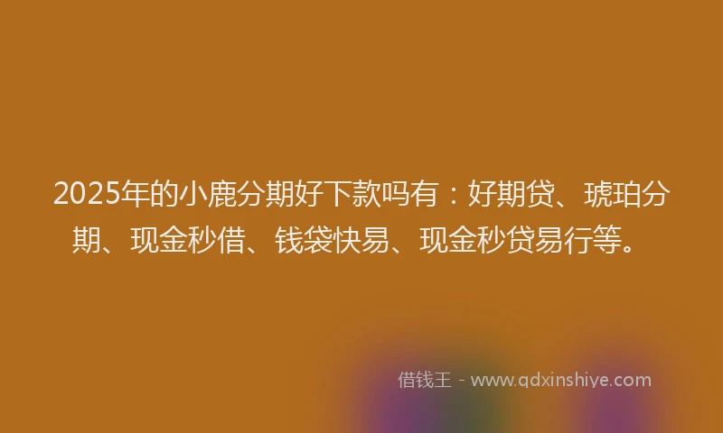 2025年的小鹿分期好下款吗有：好期贷、琥珀分期、现金秒借、钱袋快易、现金秒贷易行等。