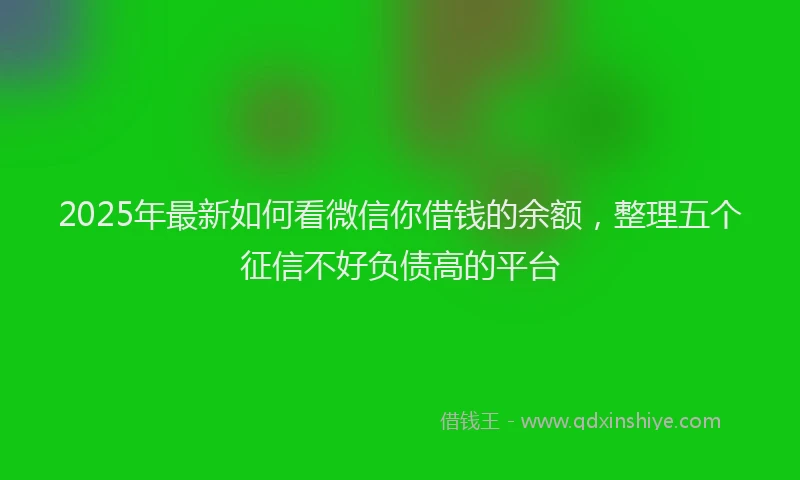 2025年最新如何看微信你借钱的余额，整理五个征信不好负债高的平台