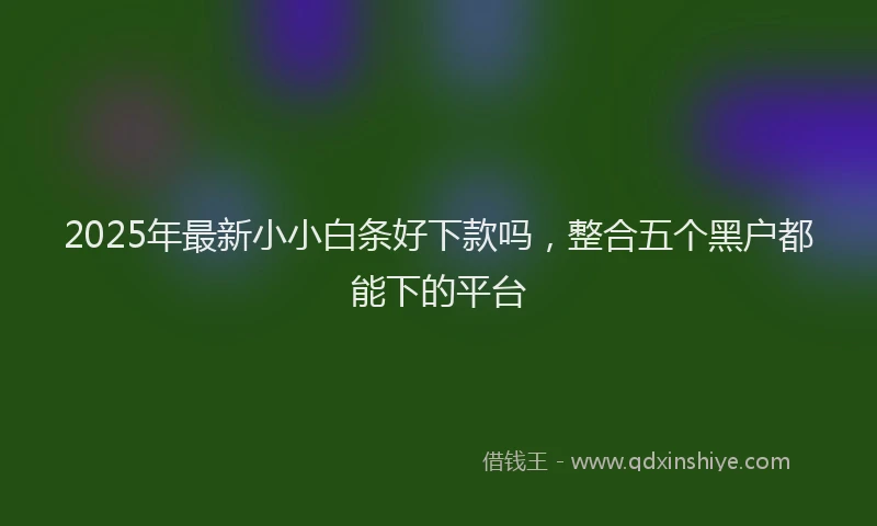 2025年最新小小白条好下款吗，整合五个黑户都能下的平台