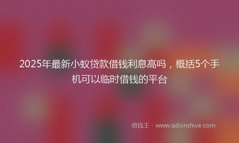 2025年最新小蚁贷款借钱利息高吗，概括5个手机可以临时借钱的平台