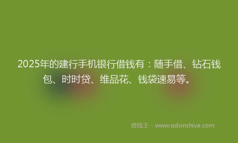 2025年的建行手机银行借钱有：随手借、钻石钱包、时时贷、维品花、钱袋速易等。